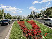 Алексей Орлов поручил убрать ненужные заборы у дорог Екатеринбурга