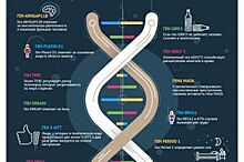 Подправить наследственность. Сибиряки могут стать геномными редакторами