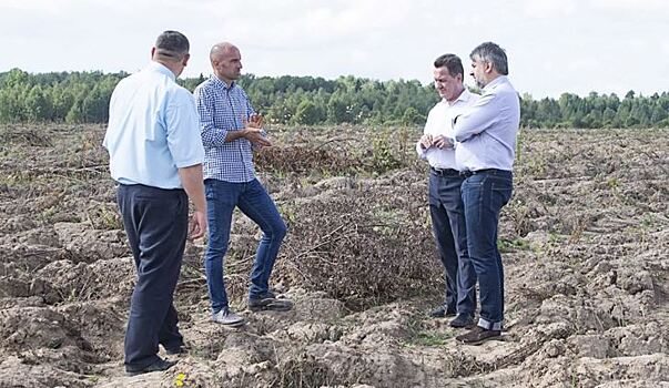Землю крестьянам передают безвозмездно для обработки в Ивановской области