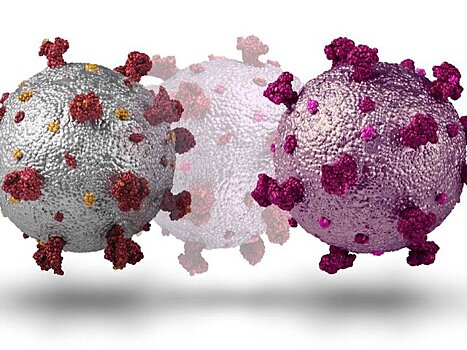 Учёные опровергли сообщения о новой пандемии