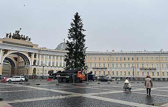 На Дворцовой площади установили главную новогоднюю ель Петербурга