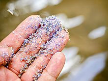 Исследования показали, в каких продуктах больше всего микропластика