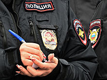 Иностранец пытался похитить девушку в Петербурге
