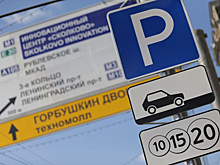 Расширения зоны платных парковок пока не будет