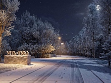 Увеличить турпоток за счет парка «Усть-Тула» планируют в мэрии Новосибирска