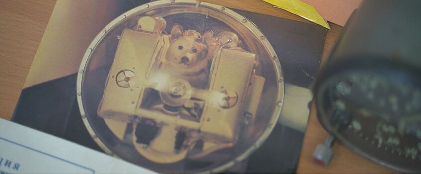 Операция «Спасти Звездочку»: роль Удмуртии в судьбе собаки-космонавта