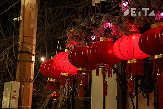 Полиция Владивостока расследует дебош с петардами в сквере в новогоднюю ночь