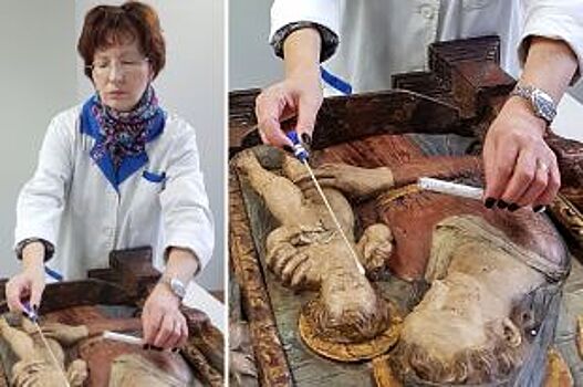 Попона подо льдом. Как биологи Эрмитажа защищают музей от вредителей