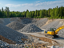 Карьер растительных отходов в районе Подсинего больше не откроют