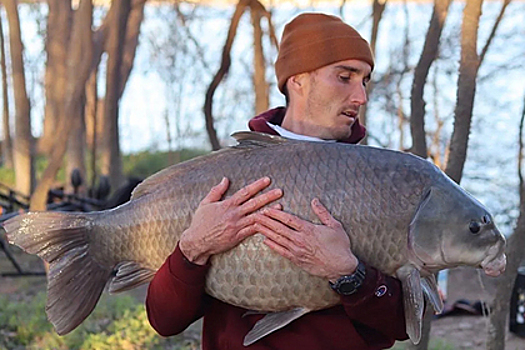 Мужчина поймал 29-килограммовую рыбу и побил рекорд