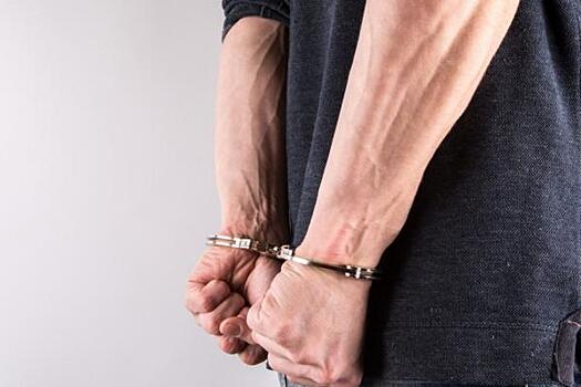 Новосибирского замминистра задержали за коррупцию