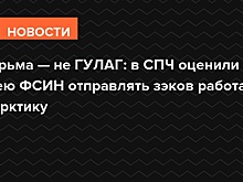 Тюрьма — не ГУЛАГ: в СПЧ оценили идею ФСИН отправлять зэков работать в Арктику