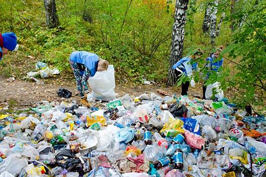 Какие проблемы предстоит решить новому министру природы: «оживление» мусорной реформы и долгосрочное планирование