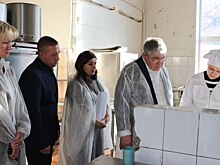 Мэр курского Железногорска проверил школу после жалоб на тараканов и холод