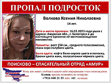 В Белогорске уже 4 дня ищут 14-летнюю девочку, которая сбежала из дома через окно