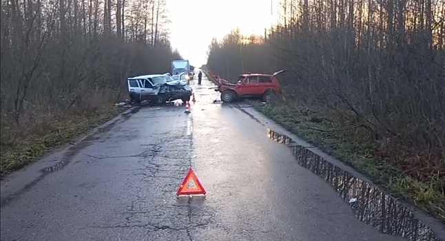 Появились подробности ДТП с двумя погибшими на трассе под Выксой