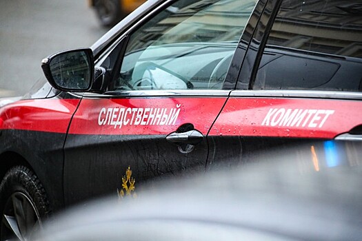 Женщина в Чебоксарах одним ударом ножа убила сожителя