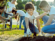 Волонтёрство со школьной скамьи: как дети могут помогать другим