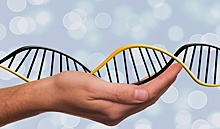 Загадка изменений в ДНК человека