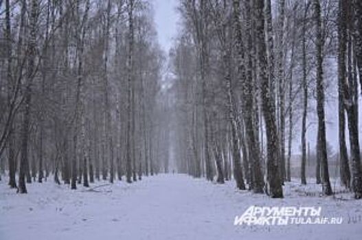 В Курской области ожидается снегопад и сильный ветер