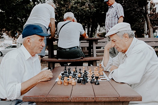 В парке "Ходынское поле" в САО открылась секция шахмат