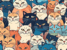 В МГУ изучили мяуканья кошек