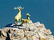 Программу «дальневосточного гектара» расширят до Бурятии