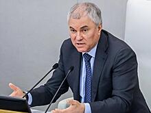 Володин призвал перечислять пенсию иноагентов на спецсчета