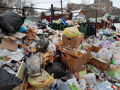 Проследим сами: волгоградцы проконтролируют вывоз мусора во всех районах города