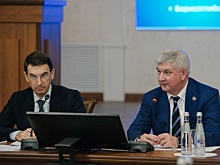 В Воронежской области обсудили поддержку бизнеса на основе ЭКГ-рейтинга