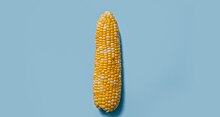 Когда люди полюбили кукурузу? Древние останки людей открыли эту тайну