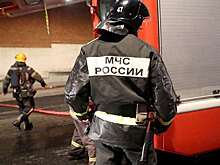 Сотни людей эвакуировали из здания МГУ из-за задымления