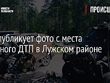 IVBG публикует фото с места страшного ДТП в Лужском районе