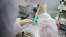 В Саудовской Аравии число заразившихся коронавирусом превысило 150 тысяч