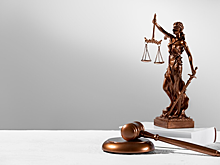 Апелляция по делу гражданки ФРГ в РФ затянулась из-за бюрократических проволочек