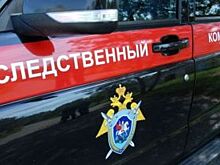Следователи не выявили мошенничества в отношении совладельца «Юлмарта»