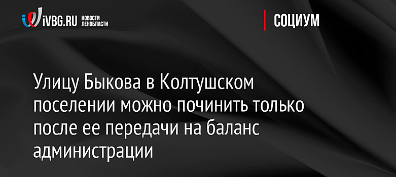 Улицу Быкова в Колтушском поселении можно починить только после ее передачи на баланс администрации