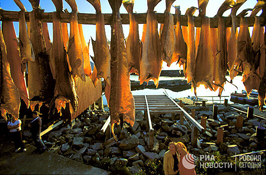 Ежегодно мы ловим морепродукты, эквивалентные весу Китая