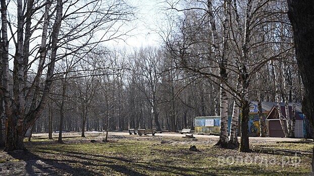 Вологодские предприниматели смогут работать на территории парка Ветеранов