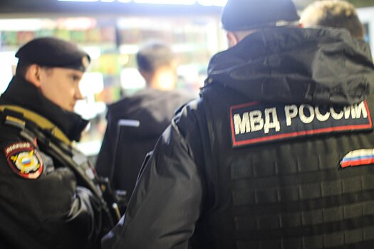 На станции метро «Авиамоторная» в Москве мужчина распылил аэрозоль в лицо пассажиру