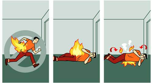 Какой герой во время пожара первыми стал спасать картинки