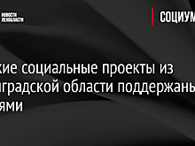 Львова-Белова выбрала для реализации 16 детских проектов по защите несовершеннолетних