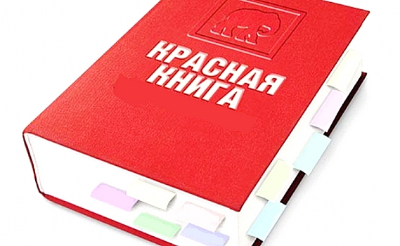 Вышло второе издание Красной книги Курской области