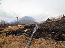 Испытание водой и огнём. Новосибирская область горит и тонет