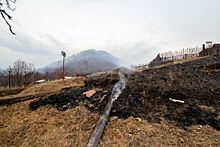 Испытание водой и огнём. Новосибирская область горит и тонет