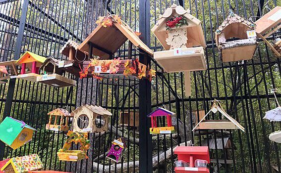 Самые необычные кормушки показал Новосибирский зоопарк