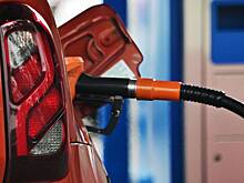 В России оценили меры по стабилизации цен на топливо