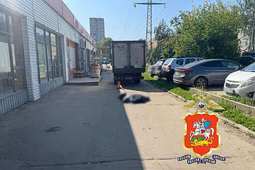 В Подмосковье "Газель" наехала на женщину с тележкой и попала на видео