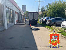 В Подмосковье "Газель" наехала на женщину с тележкой и попала на видео