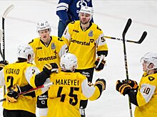 Матчи регулярного чемпионата КХЛ отменены на период олимпийской паузы